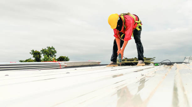 Best Roof Leak Repair  in Salina, KS